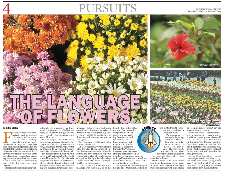 Language of the Flowers | The New Indian Express